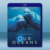 我們的海洋 Our Oceans (2024)藍光25G...