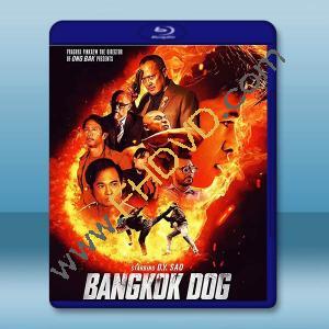 曼谷鬥犬/曼谷戰狼 Bangkok Dog(2024)藍光25G		 