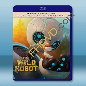 荒野機器人 The Wild Robot(2024)藍光25G		 