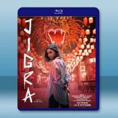 迎刃而姐 Jigra(2024)藍光25G		 