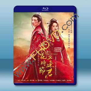 落花時節又逢君（2025）【TV全集+番外篇+幕後花絮】藍光25G 4碟L		 