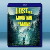 征服山的少年/迷路 Lost on A Mountain in Maine(2024)藍光25G		 