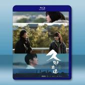 久別重逢 (2025)藍光25G		 