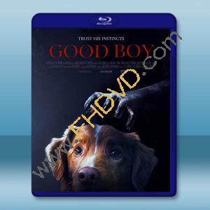 乖狗狗 Good Boy(2025)藍光25G		 
