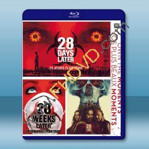 28天毀滅倒數+28週毀滅倒數+28年毀滅倒數（合集） 藍光25G 3碟		 