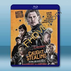 偷天盜日 Caught Stealing (2025)藍光25G		 