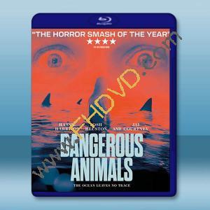鯊人魔/危險動物 Dangerous Animals(2025)藍光25G		 