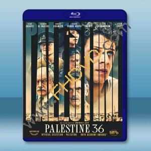 巴勒斯坦 36 (2025)藍光25G L		 