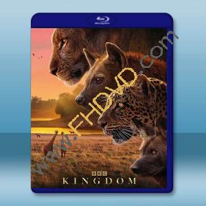 動物王國 Kingdom (2025)藍光25G 2碟		 