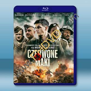 浴血卡西諾 Czerwone maki(2024)藍光25G		 