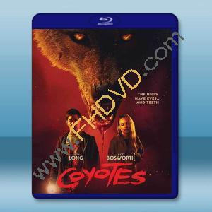 郊狼 Coyotes (2025)藍光25G		 