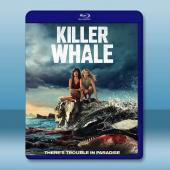 殺人鯨 Killer Whale(2026)藍光25G		 