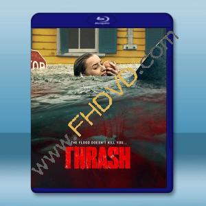 狂鯊風暴 Thrash(2026)藍光25G		 