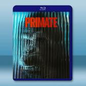 猩瘋血雨 Primate (2025)藍光25G		 
