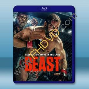 怒獸出籠 Beast (2026)藍光25G		 