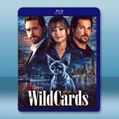 百變王牌 第三季 Wild Cards S3(2026)藍光25G 2碟L		 