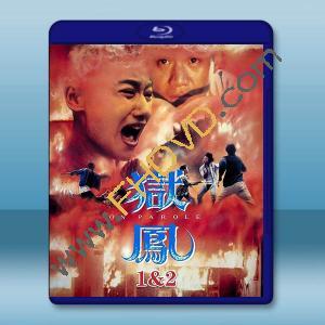 獄鳯 1+2 (1993)藍光25G 2碟		 