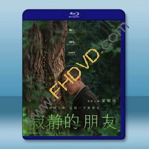 你是不會當樹嗎/寂靜的朋友 Stiller Freund(2025)藍光25G		 