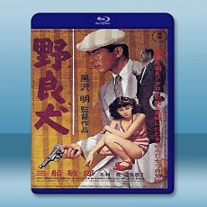 野良犬  【1949】 藍光25G