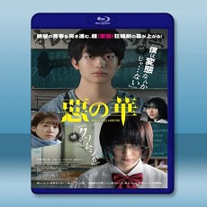 惡之華  【2019】 藍光25G