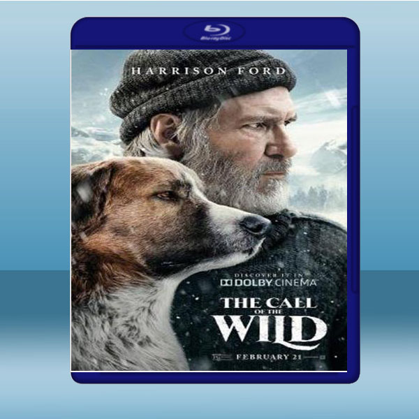 極地守護犬 The Call of the Wild (2020) 藍光影片25G:圖片 2