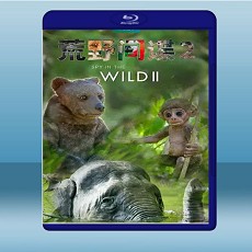荒野間諜 Spy in the Wild 第2季 【2碟】 藍光25G