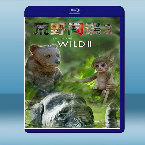 荒野間諜 Spy in the Wild 第2季 【2碟】 藍光25G:圖片 2