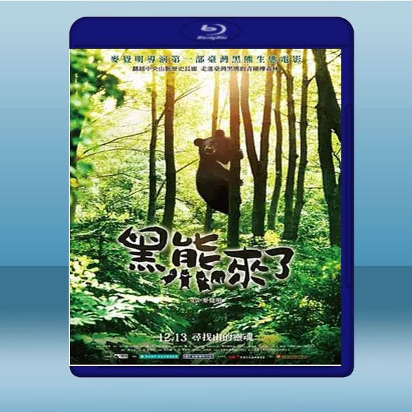 黑熊來了(2019) 藍光25G:圖片 2