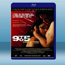 朝九晚五 9 to 5: Days in Porn (2008) 藍光25G