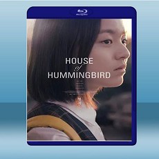 我們與愛的距離/蜂鳥  (2018) 藍光25G