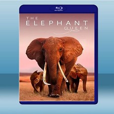 大象女王 The Elephant Queen (2018) 藍光25G