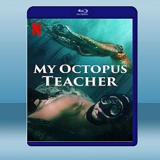 我的章魚老師 My Octopus Teacher (2020) 藍光25G