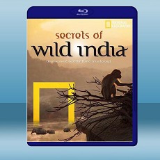 國家地理：狂野印度 Secrets of Wild India (2012) 藍光25G