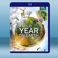 狂野地球 A Wild Year on Earth (2020) 藍光25G