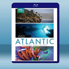 大西洋：地球最狂野的海洋 Atlantic: The Wildest Ocean on Earth (2015) 藍光25G