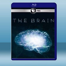 深入大腦 The Brain with David Eagleman (2碟) (2015) 藍光25G