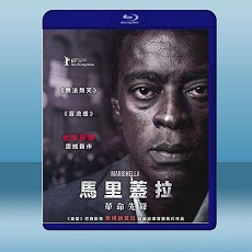 馬里蓋拉：革命先鋒 Marighella (2019) 藍光25G