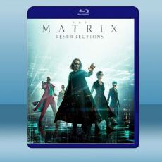 駭客任務：復活 The Matrix Resurrections (2021)