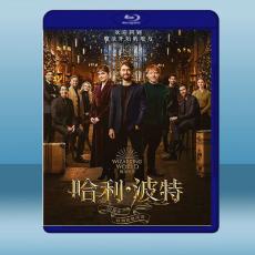哈利·波特20周年特輯：重返霍格沃茨Harry Potter 20th Anniversary: Return to Hogwarts (2022)藍光25G