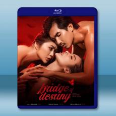 別人的丈夫 Bridge of Destiny(2020)藍光25G
