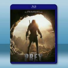 終極戰士：獸獵者/鐵血戰士：獵物 Prey (2022)藍光25G