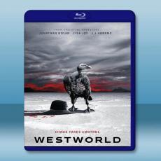 西部世界/西方極樂園 第二季 Westworld S2(2018)藍光25G 3碟