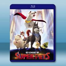 DC超級寵物軍團 DC League of Super-Pets (2022)藍光25G