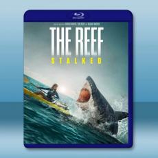 暗礁狂鯊 The Reef: Stalked(2022)藍光25G