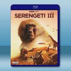 塞倫蓋蒂 第三季 Serengeti Season 3(2022)藍光25G 2碟