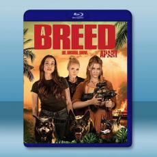 超乎常人 A Breed Apart(2025)藍光25G