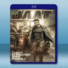 正義秘密客/無敵賈特 Jaat(2025)藍光25G