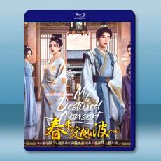春來定風波 (2025)藍光25G 3碟L