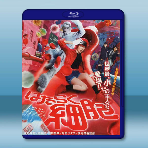工作細胞 真人版 はたらく細胞 (2024)藍光25G:圖片 2