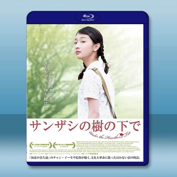 山楂樹之戀 (2010)藍光25G:圖片 2